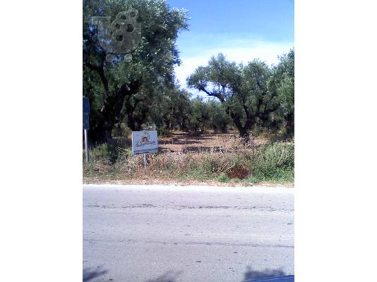 Οικοπεδο 3500τμ. Ζακυνθος