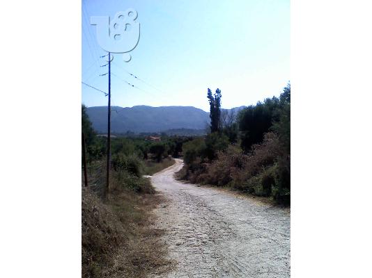 Οικοπεδο 2000τμ. Ζακυνθο-Αγια Μαρηνα