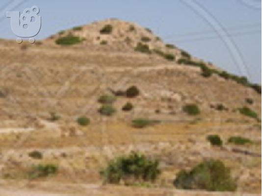 PoulaTo: αγροτεμαχιο