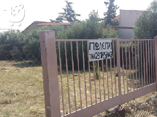 Οικόπεδο εντός σχεδίου Τρίγλια Χαλκιδικής 510τ.μ!