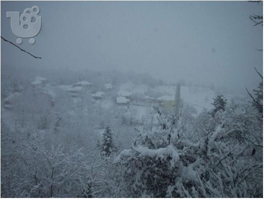 ΤΙΜΗ ΕΥΚΑΙΡΙΑΣ