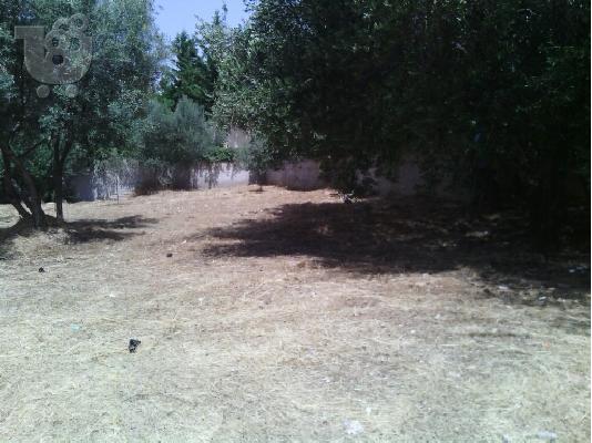 Καθαρισμός οικοπέδων και άλλων εκτάσεων 6932754198