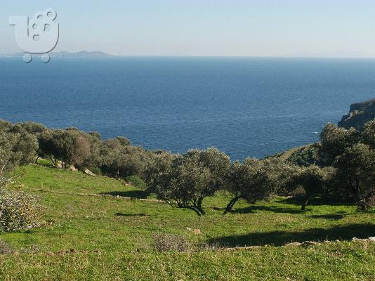 PoulaTo: Ευκαιρια στην Σίφνο