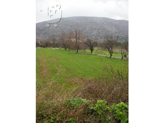 PoulaTo: Πωλείται γωνιακό οικόπεδο