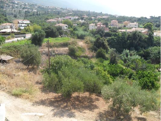 πωλειται οικοπεδο στην κεφαλονια