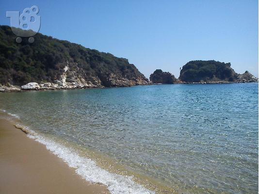 Κτήμα 20 στρεμμάτων πωλείται