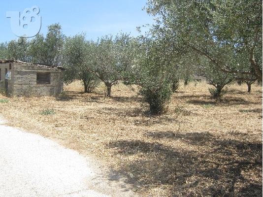 Πωλείται αγροτεμάχιο στο Μελίσσι, Δήμου Ξυλοκάστρου....