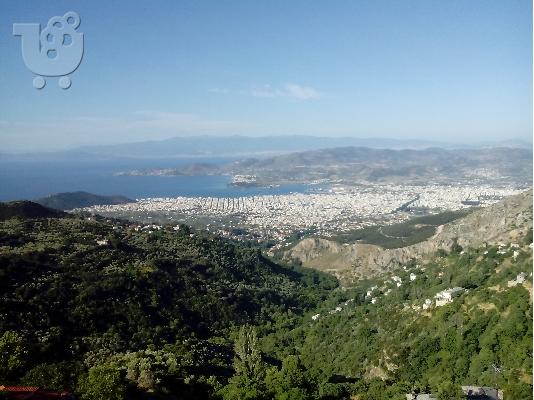Μακρινιτσα πηλιο
