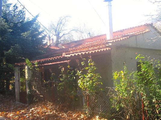 ΕΞΟΧΙΚΗ ΚΑΤΟΙΚΙΑ