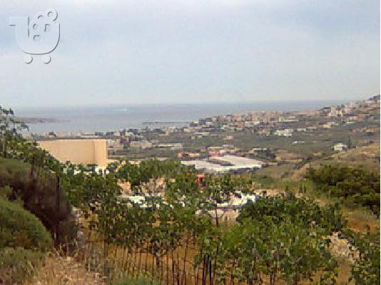 PoulaTo: Πώληση οικοπέδου