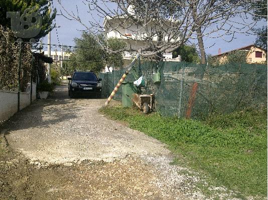 ΠΩΛΗΣΕΙ ΟΙΚΟΠΕΔΟΥ 300 τμ