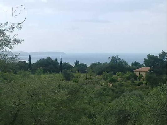 Αλισσός, πωλείται αγροτεμάχιο, 6 στρ.