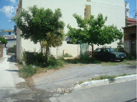 ΠΡΟΣΗΛΙΟ ΟΙΚΟΠΕΔΟ ΣΤΗΝ ΚΑΛΑΜΑΤΑ