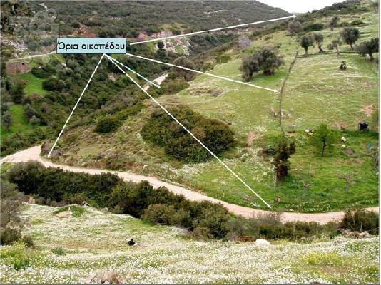 4.750ΤΜ ΕΝΤΟΣ ΟΙΚΙΣΜΟΥ ΠΕΤΡΙΕΣ ΕΥΒΟΙΑΣ -ΜΕΓΑΛΗ ΕΥΚΑΙΡΙΑ...