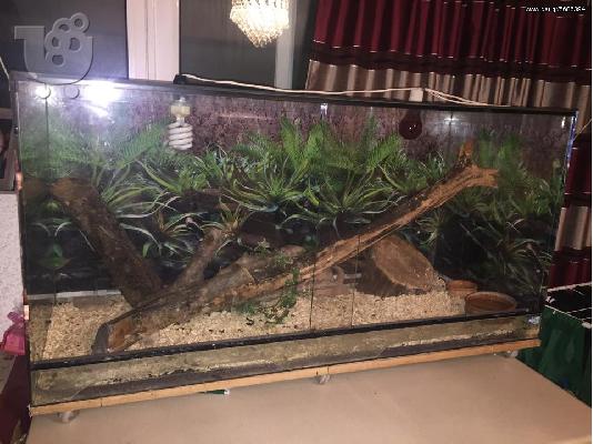TERRARIUM ΕΡΠΕΤΩΝ