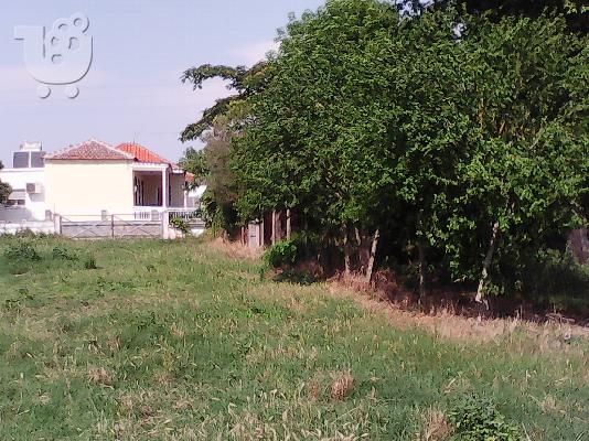 ΟΙΚΟΠΕΔΟ 750 ΤΜ ΚΤΙΣΜΑ 130 ΤΜ