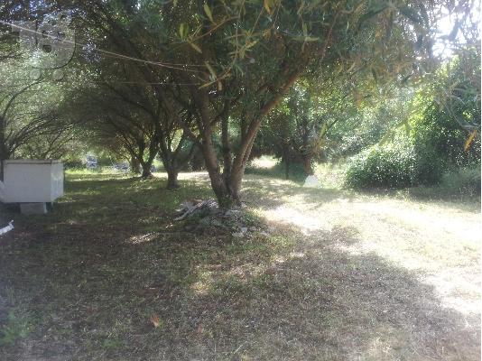 Μονοκατοικια 50τ.μ με 500τ.μ κτήμα 150μ απο τη θαλασσα