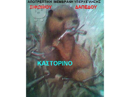 PoulaTo: IΔΕΑ