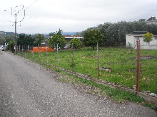 PoulaTo: ΟΙΚΟΠΕΔΟ 850ΤΜ ΣΤΟΝ ΜΩΛΟ ΦΘΟΙΩΤΙΔΟΣ