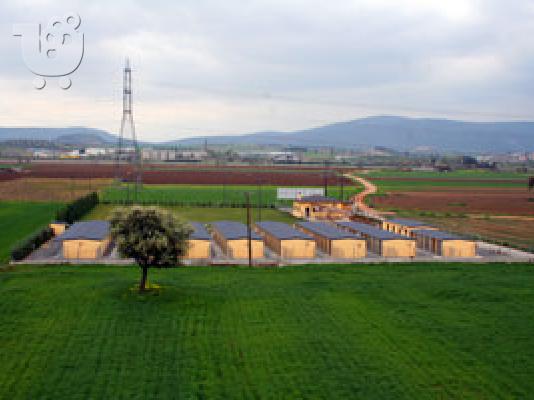 DOGVILLE ΞΕΝΟΔΟΧΕΙΑ ΣΚΥΛΩΝ ΚΑΙ ΜΙΚΡΩΝ ΖΩΩΝ Μαστίφ