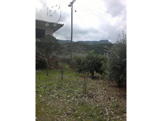 πωλειται οικοπεδο 3000τμ με οικιμα στην στερνα αργολιδας...