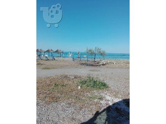 ΠΩΛΗΣΗ ΕΞΟΧΙΚΗΣ ΚΑΤΟΙΚΙΑΣ ΜΕ ΟΙΚΟΠΕΔΟ - ΑΓΙΟΚΑΜΠΟΣ ΛΑΡΙΣΑΣ...