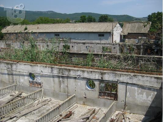 Παλαιά χοιροτροφική μονάδα με χωράφι σύνολο 12000 τ.μ....
