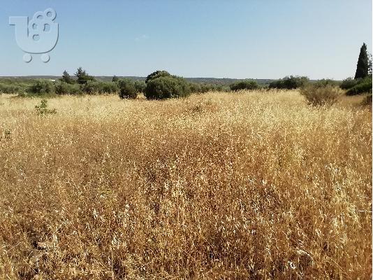 ΠΩΛΕΙΤΑΙ ΑΓΡΟΤΕΜΑΧΙΟ 3 ΣΤΡΕΜΑΤΑ