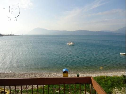 PoulaTo: πωλειται οικοπεδο αχαια αγ.βασιλειος
