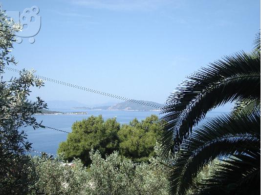 ΑΙΓΙΝΑ Αιγινιτισσα, καλή κατάστασης μονοκατοικία, 115 τ.μ.,...