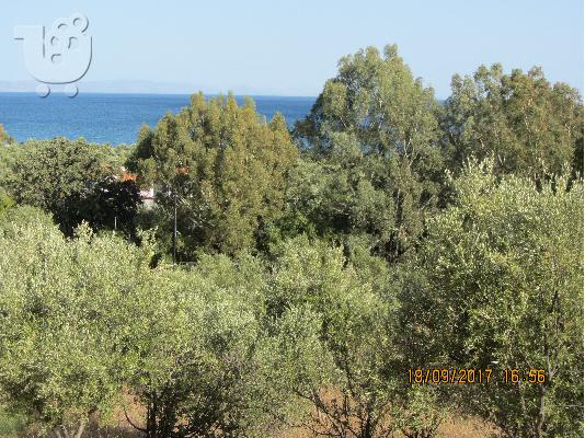 πωληται παραθαλασιο οικοπεδο στο βαθυ γυθειου λακωνιας...