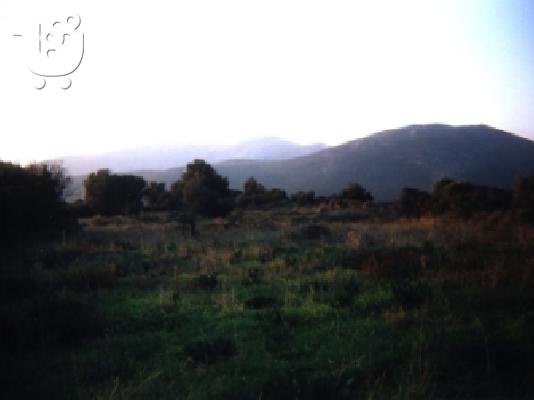 Πωλείται Αγροτεμάχιο 12 στρεμμάτων Αλμυροπόταμος Στύρα Εύβοια...