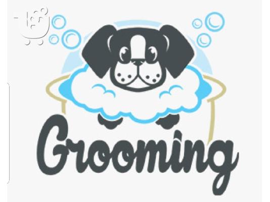 Καλλωπισμός σκυλων grooming