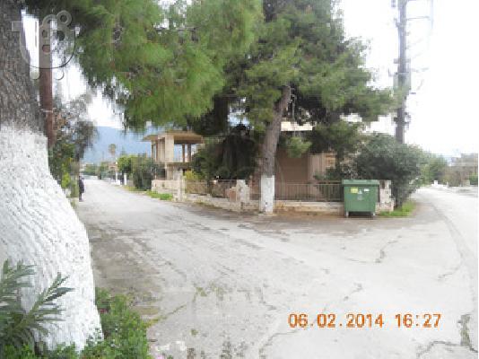 Δ. Ανθηδώνος Δροσιά, κτίριο 300 τ.μ.