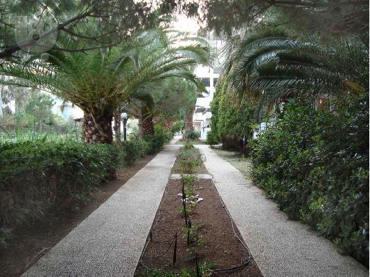 PoulaTo: ΔΙΑΜΕΡΙΣΜΑ 60ΤΜ ΣΤΗ ΠΑΡΑΛΙΑ ΑΚΡΑΤΑΣ