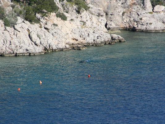 ΜΕΖΟΝΕΤΑ ΜΕΣΑ ΣΤΑ ΠΕΥΚΑ