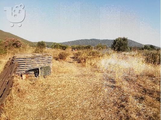 ΠΩΛΕΙΤΑΙ ΑΓΡΟΤΕΜΑΧΙΟ 2 ΣΤΡΕΜΑΤΑ