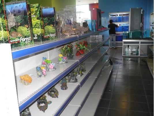 Pet Shop στο Ναύπλιο