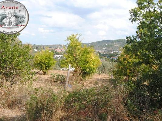oικόπεδο 400τμ στο λουτράκι σκιάθου