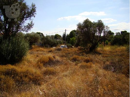 ΑΞΙΟΠΟΙΗΣΙΜΗ ΓΗ,ΟΙΚΟΠΕΔΟ!!!!  KFKMGM7560GL1