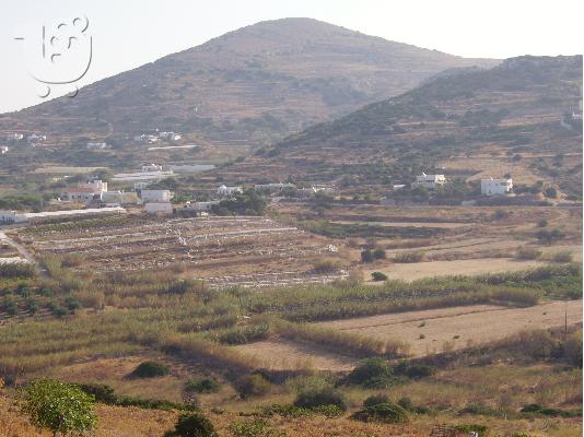 αγροτεμαχιο