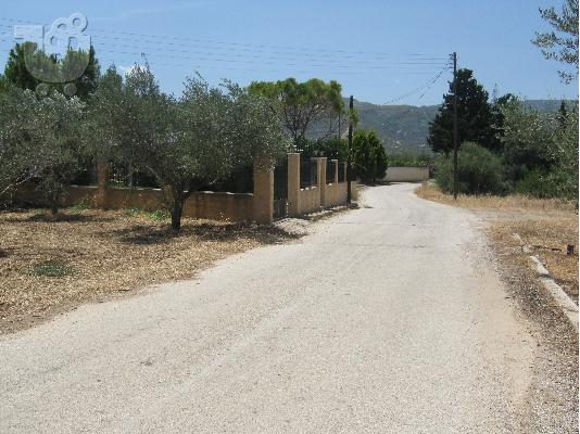Πωλείται αγροτεμάχιο στο Μελίσσι, Δήμου Ξυλοκάστρου....