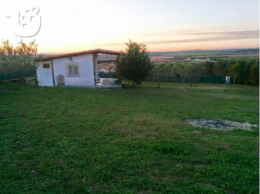 PoulaTo: Πώληση αγρότεμαχίου στον Αγιο Παύλο