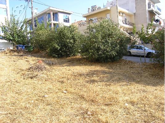 Πωλείται Οικόπεδο Για Επαγγελματική Στέγη