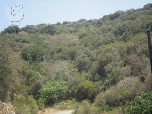 PoulaTo: Ασημένια σκουλαρίκια με ημιπολύτιμες πέτρες χειροποίητα.