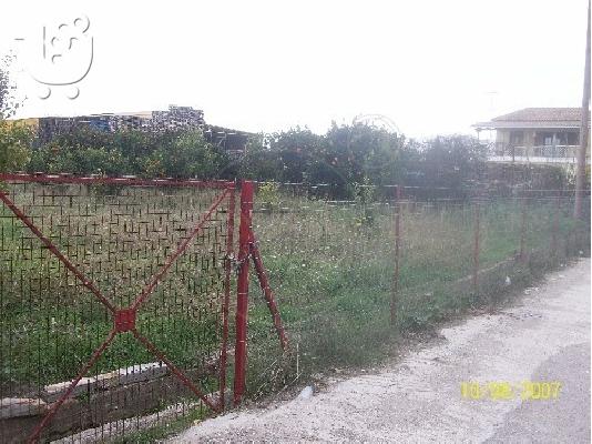 ΠΩΛΕΙΤΑΙ ΟΙΚΟΠΕΔΟ ΣΤΗΝ ΤΕΜΕΝΗ ΑΙΓΙΟΥ