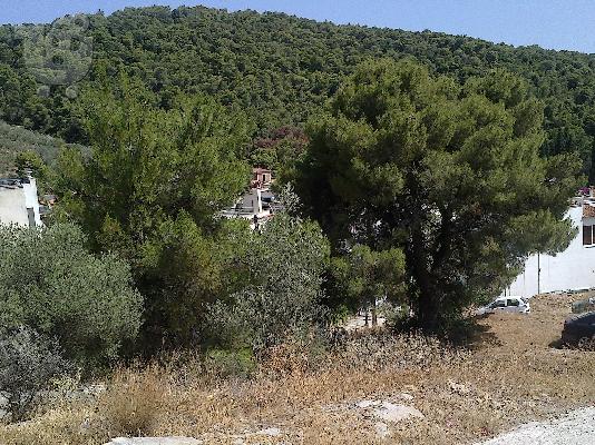 Πωληση οικοπεδου στον Πορο.ΠΟΡΟΣ