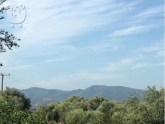 Πώληση οικοπέδου στον Κάτω Αλισσό Αχαίας