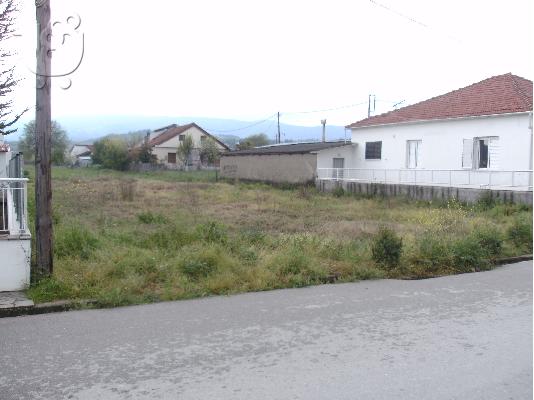 ΙΣΤΙΑΙΑ ΟΙΚΟΠΕΔΟ 