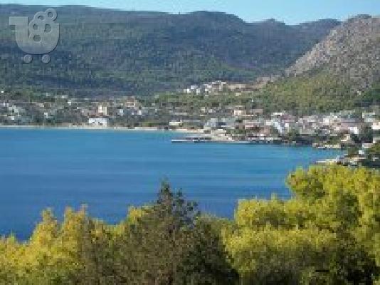 PoulaTo: μονοκατοικία Αίγινα